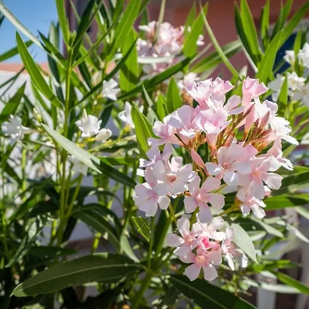 10min Da Bosa Marina - Con Giardino E Parcheggio Apartment Tresnuraghes